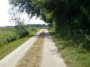 Spurplattenweg auf der Insel Poel, Ostsee-Radweg