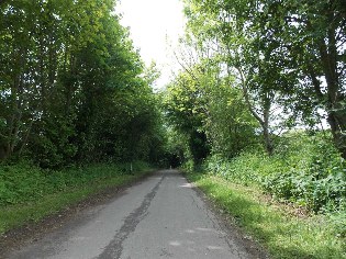 Steinerholzer Weg