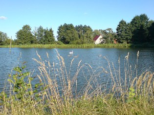 Idylle an einem Teich der Blumberger Mühle