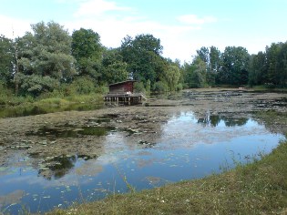 Haus im See bei Niederalteich, Donau-Radweg
