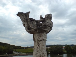 Flussjungfer am Donau-Radweg