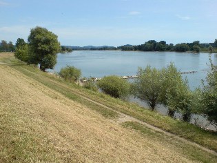Blick auf die Donau bei Zeitldorf, Donau-Radweg