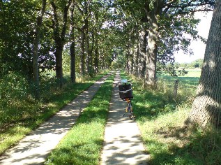 Ostsee-Radweg bei Landow auf Rügen